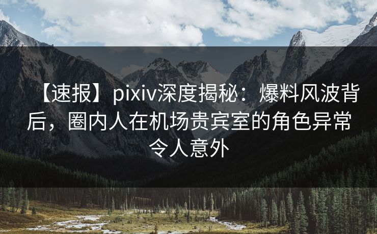 【速报】pixiv深度揭秘:爆料风波背后,圈内人在机场贵宾室的角色异常令人意外 【速报】pixiv深度揭秘:爆料风波背后,圈内人在机场贵宾室的角色异常令人意外
