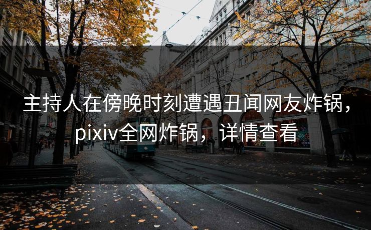 主持人在傍晚时刻遭遇丑闻网友炸锅，pixiv全网炸锅，详情查看
