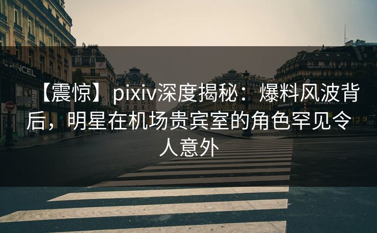 【震惊】pixiv深度揭秘：爆料风波背后，明星在机场贵宾室的角色罕见令人意外