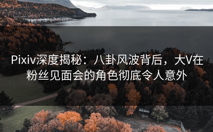Pixiv深度揭秘：八卦风波背后，大V在粉丝见面会的角色彻底令人意外